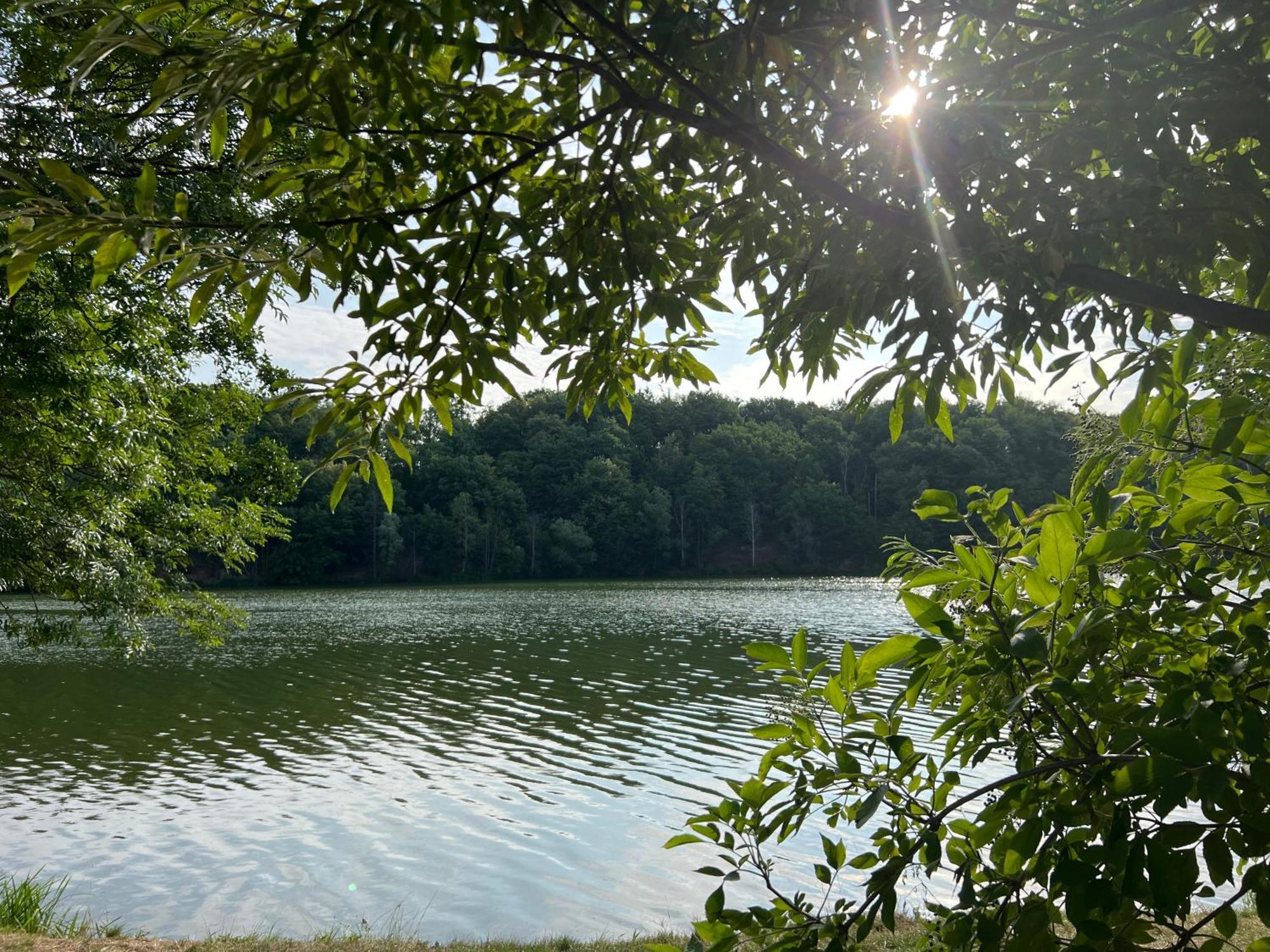 Ferienwohnungen Brenner Einchecken Und Wohlfuehlen Langenbernsdorf Exteriör bild